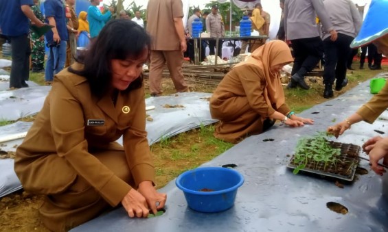 ACARA LAUNCHING PENGUATAN PROGRAM PEKARANGAN 2025